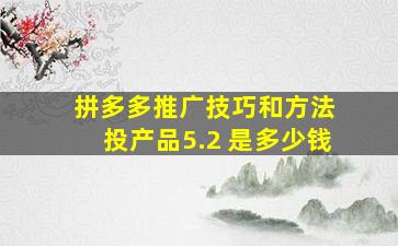 拼多多推广技巧和方法 投产品5.2 是多少钱